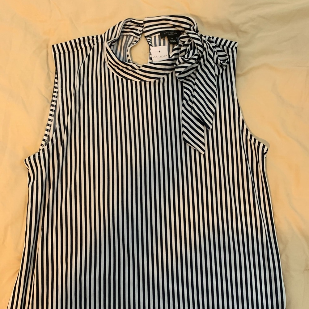 Ann Taylor Blouse
